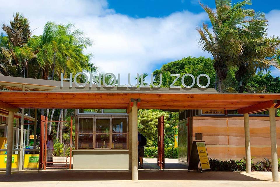 About Honolulu Zoo