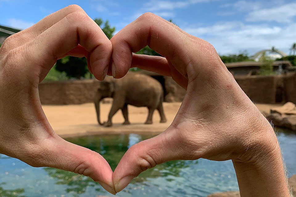 Honolulu Zoo guest services