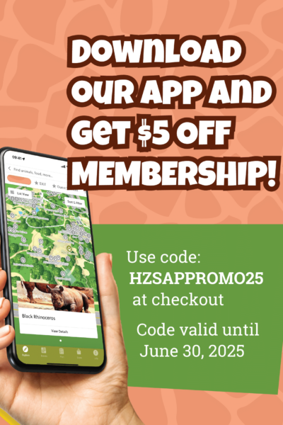 HZS App Promo Vertical HZS App Promo Vertical