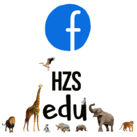 hzs fb web icon